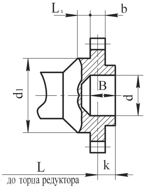 Конец Вала в виде зубчатой муфты РК